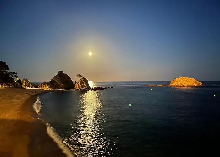 Appartement Sa Calma